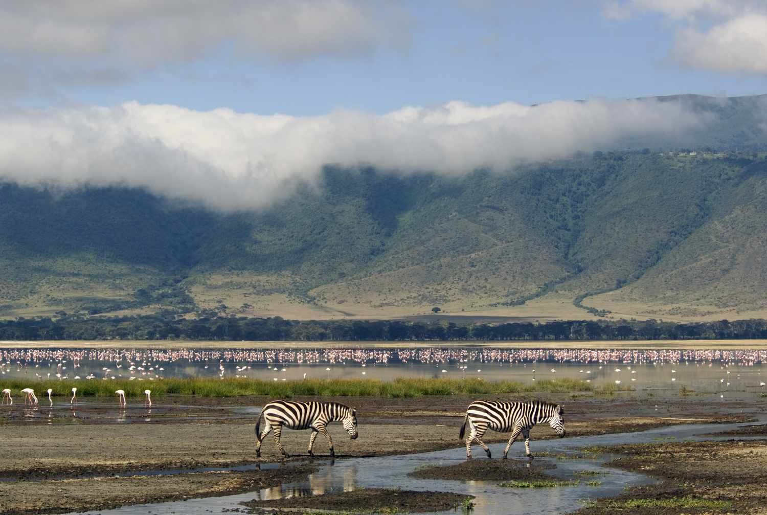 NGORONGORO NATIONAL PARK